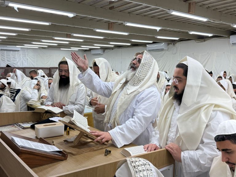 WhatsApp-Image-2025-10-03-at-12.26